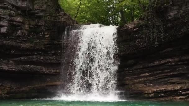 森の中の小さな美しい滝 — ストック動画