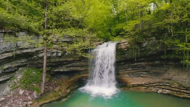 森の中の小さな滝と緑の湖の素晴らしい景色風光明媚なドローンが — ストック動画