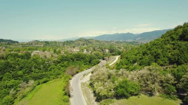 Pemandangan Atas Bawah Jalan Bukit Hijau Yang Indah Ladang Dan — Stok Video