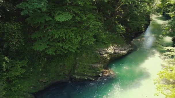 Luchtopname Van Rivier Canyon Georgia Europa Hoge Kwaliteit Beeldmateriaal — Stockvideo