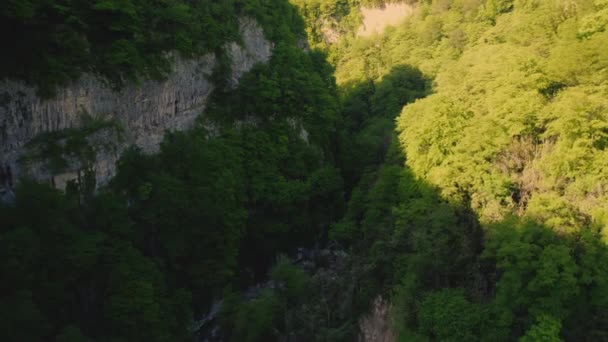 Panoramica Drone Colpo Alte Scogliere Foresta Verde Natura Meravigliosa Filmati — Video Stock