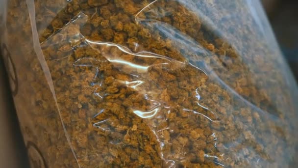大的透明塑料袋装满了杂草 作为替代药物的大麻 生物多样性公约 高质量的4K镜头 — 图库视频影像