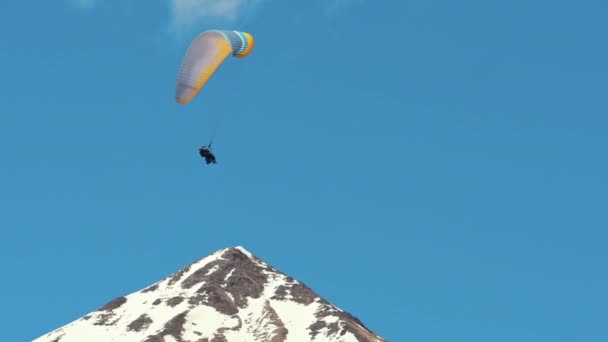Fallskärmshoppning Över Blå Himmel Fallskärmsjägare Flyger Lugnt Och Njuter Naturen — Stockvideo