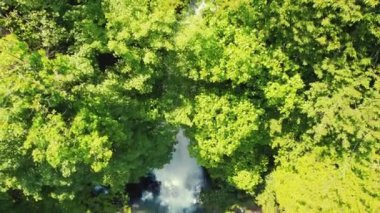 Ormandaki şelalenin yükselen manzarası, büyüleyici doğa. Yüksek kalite 4k görüntü