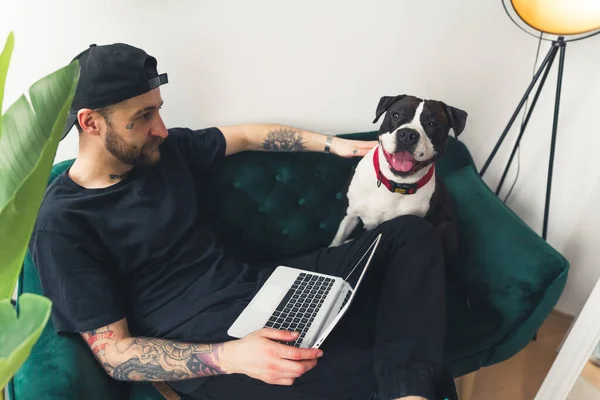 Dog sitting best sale in owner's home