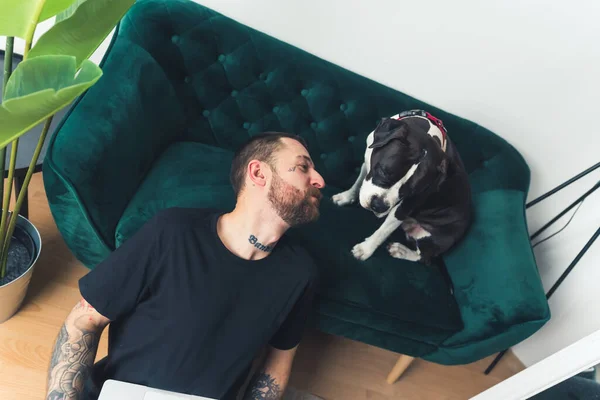 male Caucasian freelancer sits on the floor with a laptop on his lap while amstaff dog watches him home background medium full shot . High quality photo