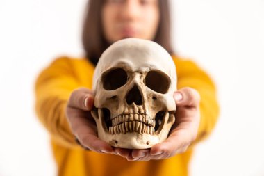 Kafkas tıp öğrencisi elinde insan kafatasının yapay kalıbını tutuyor. İzole edilmiş yakın plan. Yüksek kalite fotoğraf