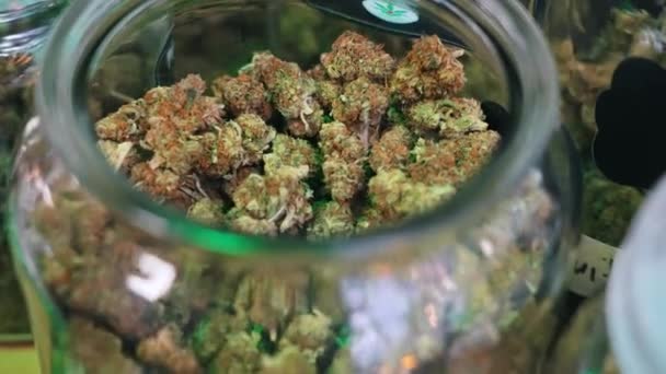 Modern Alternative Medicine Concept Cbd Cbg Marijuana Weed Tops Glass — Stockvideo