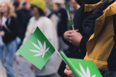 Bir gösteri sırasında tanınmayan marihuana yanlısı protestocuların elinde beyaz kenevir yaprağı resmi olan küçük yeşil bayraklar. Yüksek kalite fotoğraf