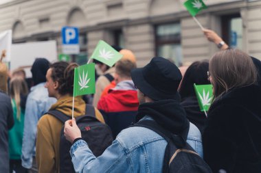 Demokrasi ve protesto özgürlüğü. Yasal eğlence amaçlı esrar için savaşan Avrupalı gençler. Beyaz ot yapraklı yeşil bayraklar. Yüksek kalite fotoğraf