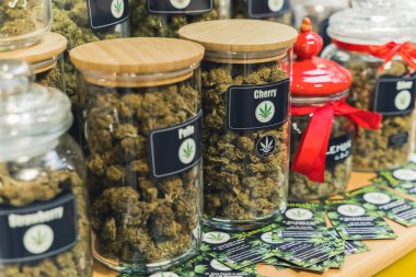 05.28.2022 Varşova, Polonya. Alternatif tıp konsepti. CBD şeffaf kavanozlarda, ahşap kapaklı. Cannabidiols sağlık hizmetlerinde. Yüksek kalite fotoğraf