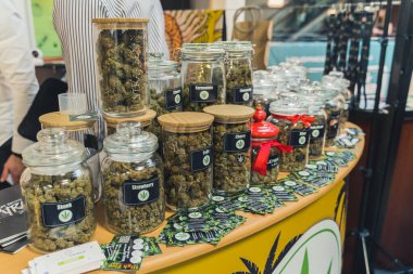 05.28.2022 Varşova, Polonya. Cannabidiols 'in sağlık endüstrisindeki modern rolü. Büyük şeffaf esrar kavanozları. Doğal alternatif tıp. Yüksek kalite fotoğraf