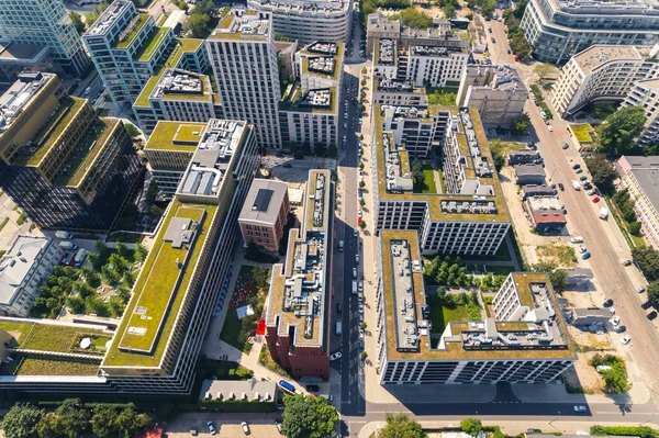 Cityscape Top Summer Town Residential Houses Grass Covering Some Rooftops — 스톡 사진