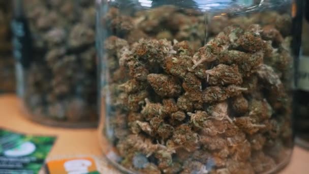 Medical Cannabis Concept Big Transparent Jars Full Dry Trimmed Cannabis — 비디오