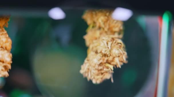 Focused Closeup Shot Natural Dried Big Medical Cannabis Bud Seen — 비디오