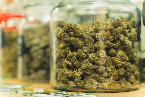 Medical Cannabis Concept Big Transparent Jars Full Dry Trimmed Cannabis — Photo