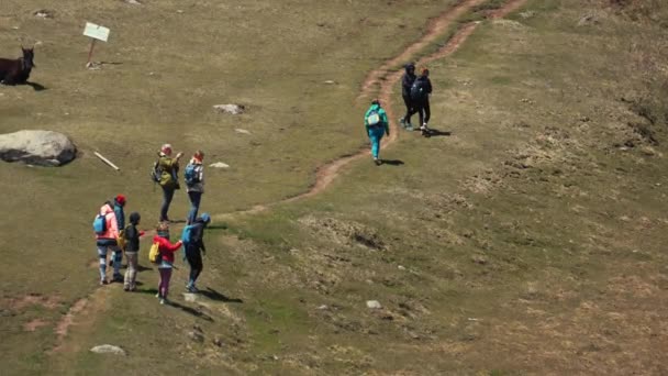 Group Tourists Walking Road Kazbegi Georgia High Quality Footage — Stok Video