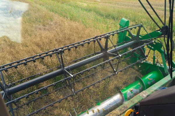 Close Spinning Combine Reel Harvesting Oilseed Rape Field Late Summer — Stok fotoğraf
