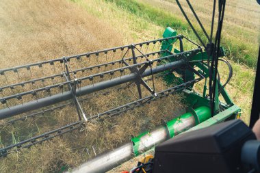 Close up of a spinning combine reel harvesting oilseed rape in the middle of a large field surrounded by nature during late summer or autumn. Drivers seat view. High quality photo