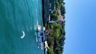 marvelous view of seagulls on the Bosphorus from a ship, vertical video. High quality 4k footage