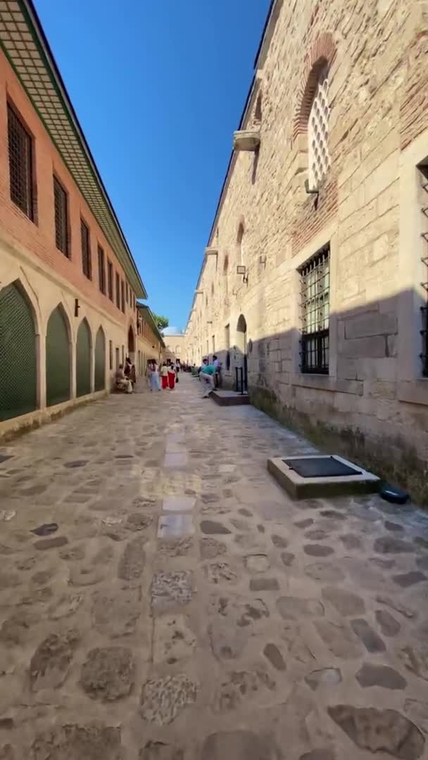 Περπάτημα Στο Διάσημο Παλάτι Τοπ Καπί Κωνσταντινούπολη Τουρκία Κάθετο Βίντεο — Αρχείο Βίντεο