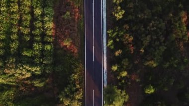 Straight empty asphalt road going through the wild nature, green hills with tropical trees and plants on one of the resort islands in Greece. Aerial drone view. High quality 4k footage