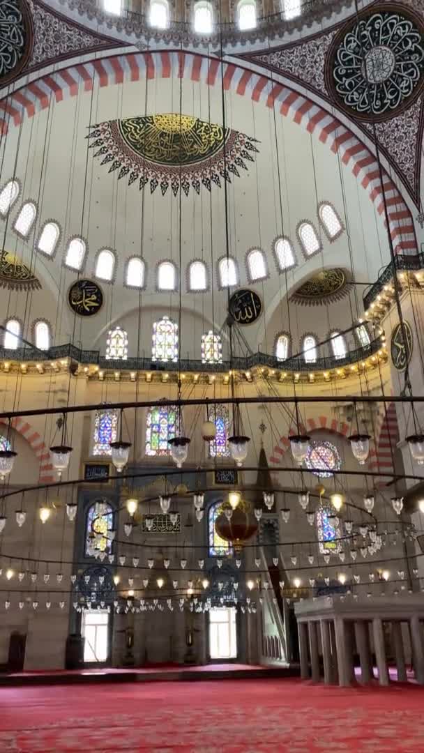 Interior Suleymanye Mosque Grand 16Th Century Mosque Istanbul High Quality — Wideo stockowe
