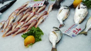 Kapani Market, one of the largest and most popular covered markets in Thessaloniki, Macedonia, Greece. Seafood counter with prices in Euros. Shops selling fresh raw fish arranged on ice. High quality