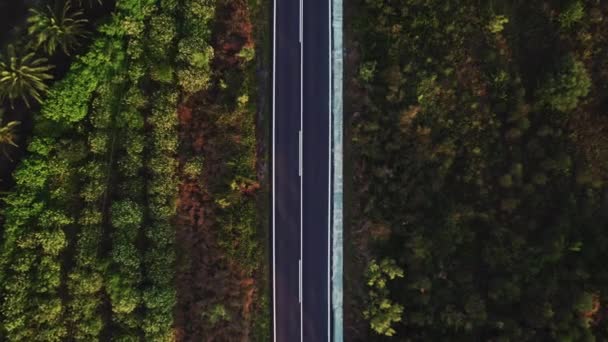 Empty Asphalt Road Going Wild Nature Green Hills Tropical Trees — Stockvideo