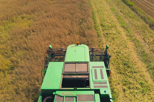 Top Front View Green Agricultural Combine Harvester Revolving Reel Harvesting — Zdjęcie stockowe