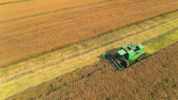 Red Agricultural Combine Harvesting Crop Large Grain Field Aerial View — Stok fotoğraf