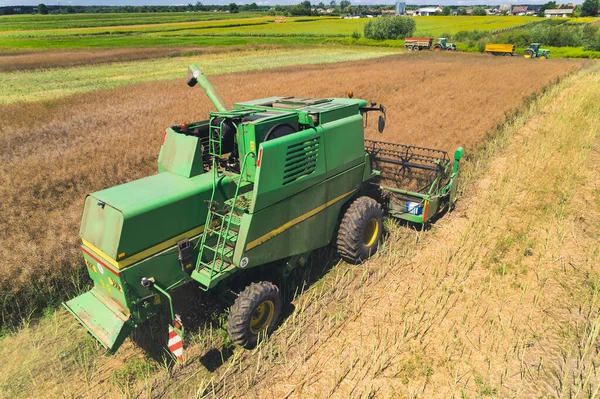 Aerial View Green Agricultural Combine Revolving Reel Harvesting Crop Large — Stok fotoğraf