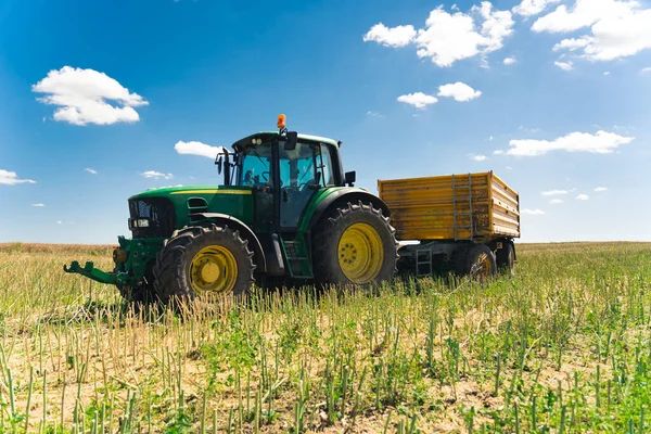 Rape Seed Harvesting Big Agricultural Tractor Yellow Huge Endless Sunny — Stock Photo, Image