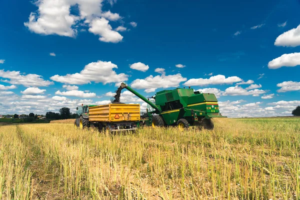 Combine Harvester Revolving Reel Working Wide Field Clear Summer Sky — Stok fotoğraf