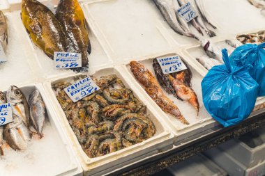 Freshly caught fish and shellfish displayed on ice. Fish market. Mediterranean cuisine concept. Two blue plastic bags in the corner. High quality photo
