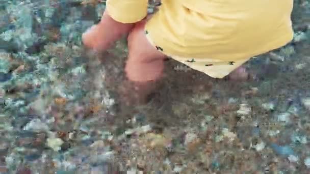 Toddler Playing Stones Walking Barefoot Rocky Beach Crystal Clear Sea — Stock videók