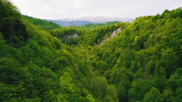 Magnificent View Okatse Canyon Drone Georgia Europe High Quality Footage — Vídeo de stock