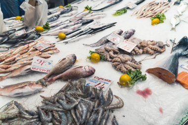 Fresh seafood for sales. Variety of fish, shellfish, and octopus. Luxurious diet concept. Ice display. High quality photo