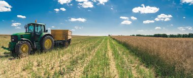 Wide panoramic shot of green tractor and a trailer on the left and untouched rapeseed field on the right. Harvesting season. Summer weather. High quality photo