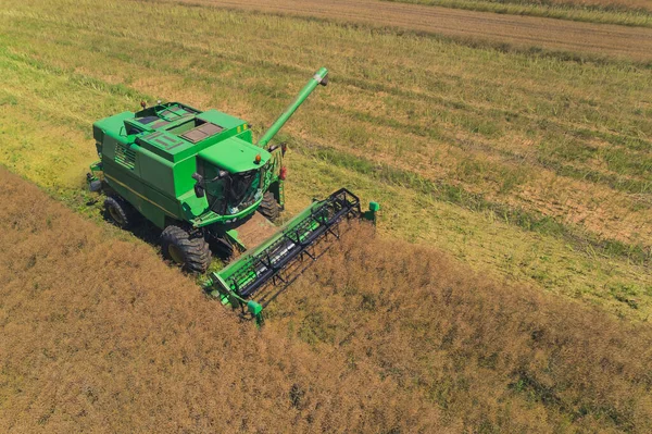 Aerial View Farmers Machine Green Combine Harvester Rapeseed Harvesting Blue — Stock Photo, Image