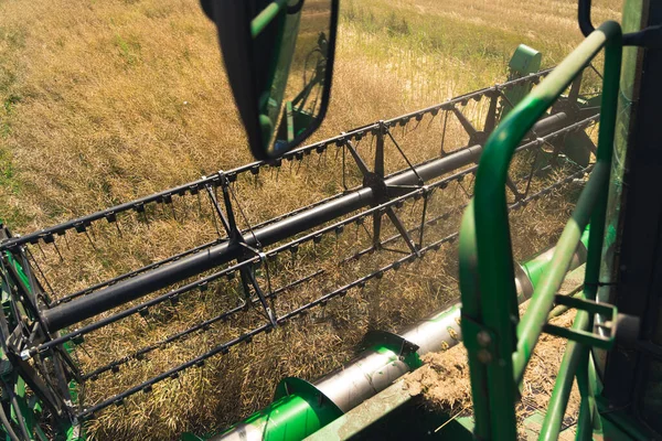 Modern Agriculture Concept Combine Harvester Operators Perspective Reel Rapeseed Harvesting — Stok fotoğraf