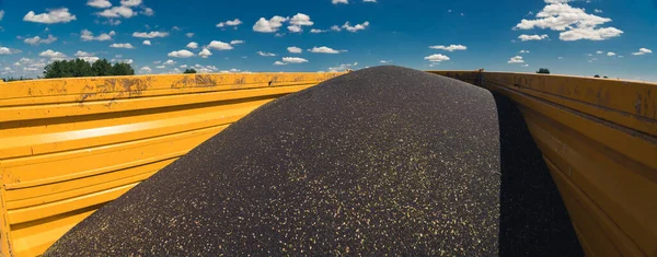 Harvest Time Oilseed Rape Wide Panoramic Shot Yellow Container Full — 스톡 사진