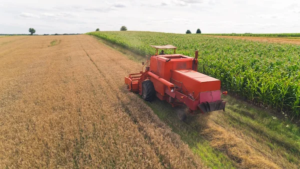 A red agricultural combine harvesting crop in a large grain field. Aerial view from drone. High quality photo