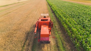 Birds eye perspective over red combine harvester or other agricultural machine and its operator working on a field. Human and nature. High quality photo