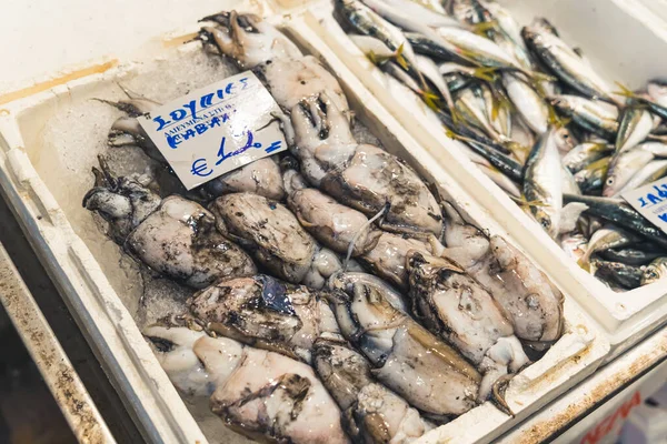 Mediterranean Cuisine Concept Closeup Shot Freshly Caught Seafood Put White — Fotografia de Stock