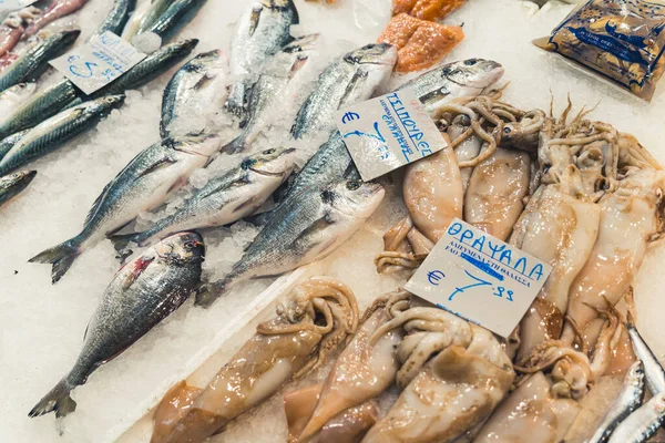 Indoor Closeup Shot Freshly Caught Fish Haul Ready Buy Variety — Fotografia de Stock