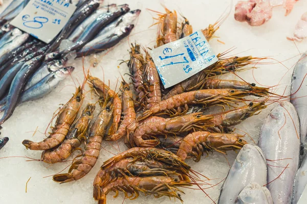 Closeup Shot Fresh Tasty Uncooked Shrimps Prawns Placed Ice Fish — Fotografia de Stock