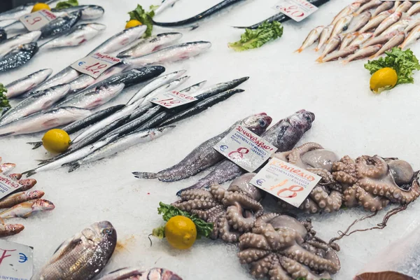 Juicy Tasty Freshly Caught Seafood Ice Display Local Greek Market — Fotografia de Stock