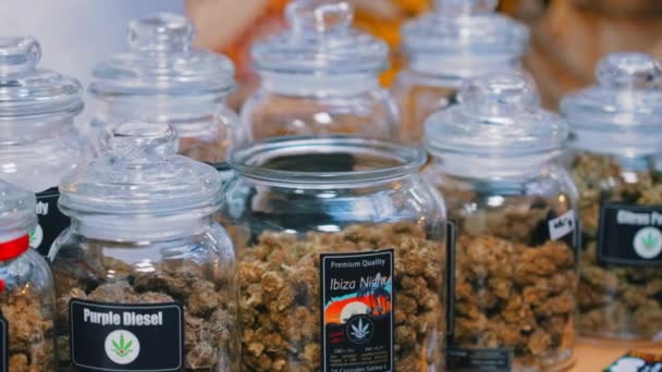 2022 Warsaw Poland Big Transparent Jars Full Fragrant Large Marijuana — Stockvideo