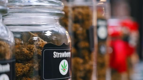 2022 Warsaw Poland Strawberry Flavored Cbd Cbg Marijuana Buds Put — Stockvideo